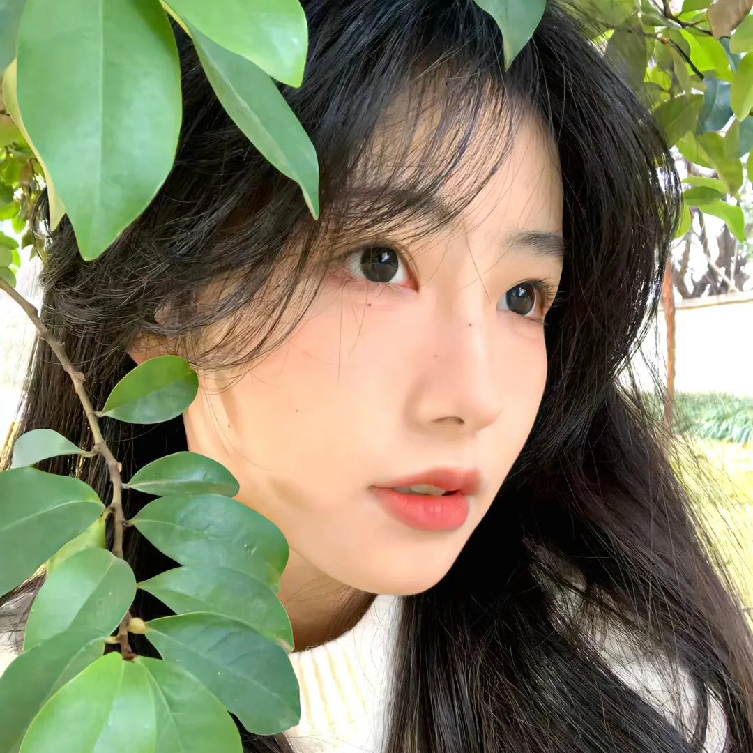 悲情红与黑